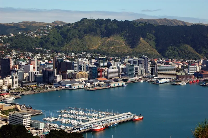Wellington Harbour and Oriental Bay from Mount Victoria